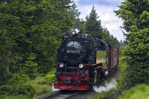 Steam train riding the Brocken Narrow Gauge railway line at the Harz National park