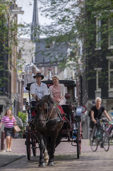 City tour by horse-drawn carriage