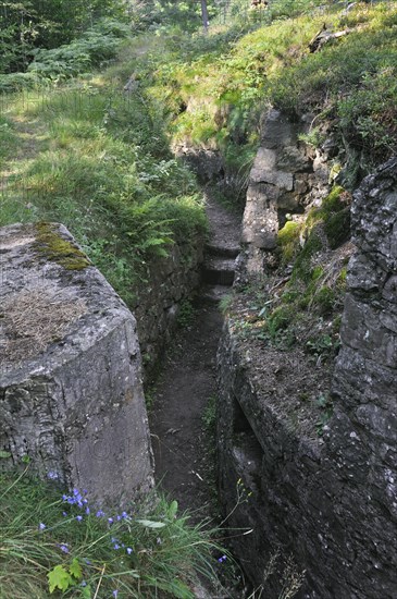 German trenches at the First World War battlefield Le Linge at Orbey