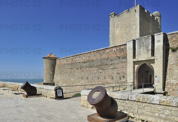 Mortar in front of the Fort Vauban at Fouras