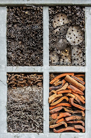 Insect hotel offering artificial nesting facilities for solitary bees and cavities for hibernating ladybirds and other insects in reed and bamboo stems