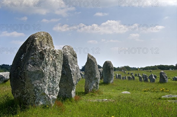 Standing stones in the Menec alignment at Carnac