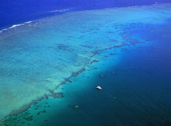 Aerial View of Michaelmas Reef offshore from Cairns Queensland Australia