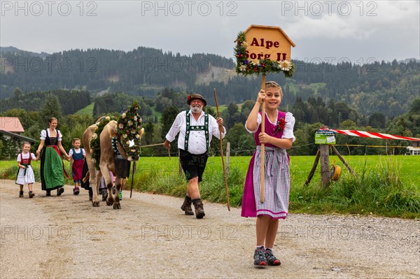 Alpine pasture child with alpine pasture board