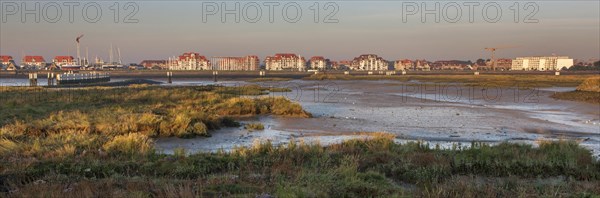 Salt marsh and mudflats at the nature reserve De IJzermonding at Nieuwpoort