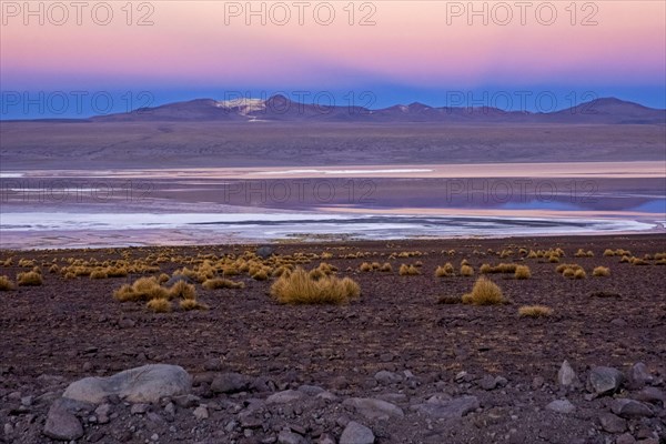 Laguna Colorada