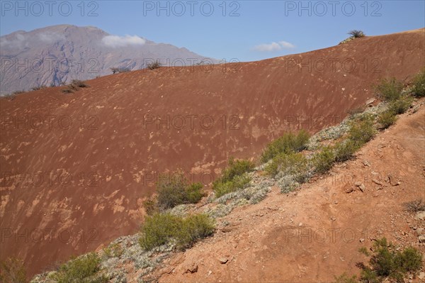 Desert landscape of the Valley of the Rio las Conchas in the Quebrada de Cafayate