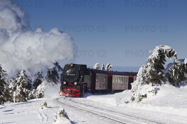 Steam train riding the Brocken Narrow Gauge railway line in the snow in winter at the Harz National park