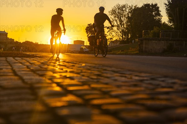 The Elbe cycle path on Dresden's Koenigsufer in the evening light