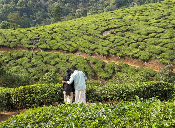 Indian couple at Chithirapuram plantation near Munnar