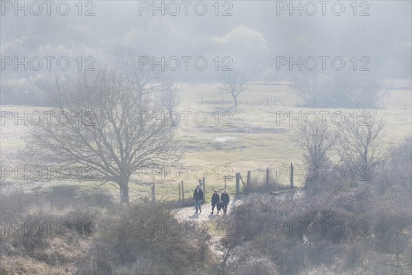 Walkers walking in the mist in shrubland