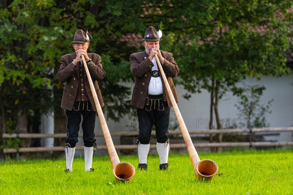 Alphorn blowers