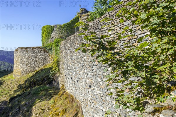 Ruines of the 13th century Chateau d'Herbeumont