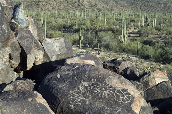 Rock art at Signal Hill