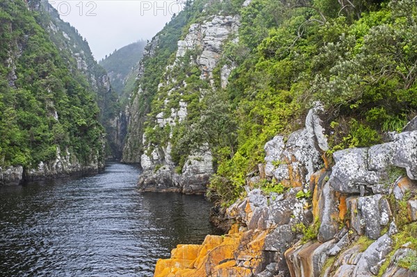 Storms River