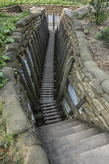 Reconstruction of British First World War One trench showing wooden duckboards on A frames