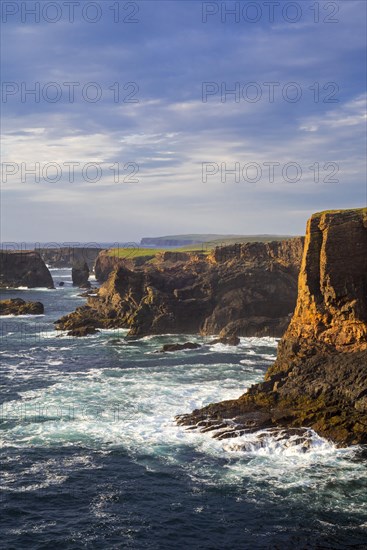 Sea cliffs and sea stacks at Eshaness