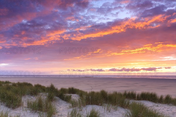 Beach and marram grass