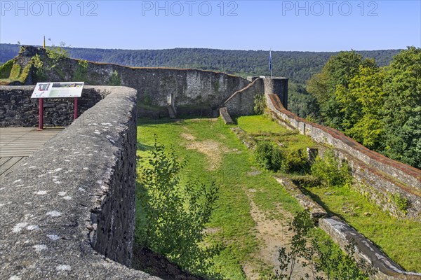 Ruines of the 13th century Chateau d'Herbeumont