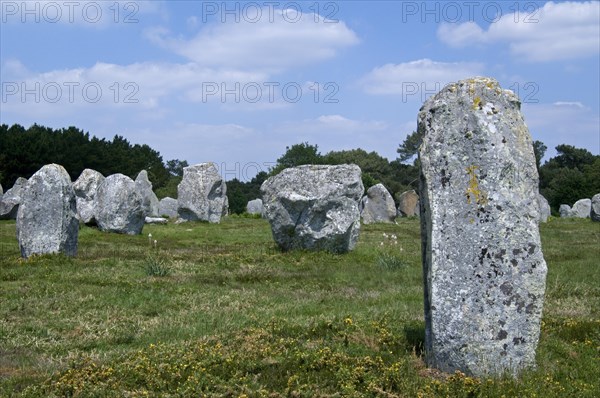 Standing stones in the Kermario alignment at Carnac