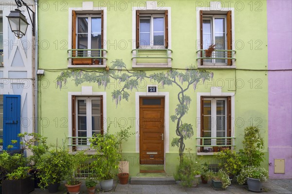 Painting of a wisteria on a house