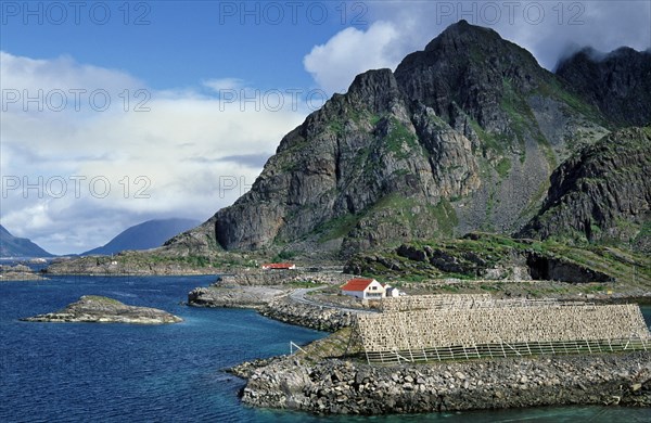 Stockfish hanging to dry on wooden racks in the fishing village Henningsvaer