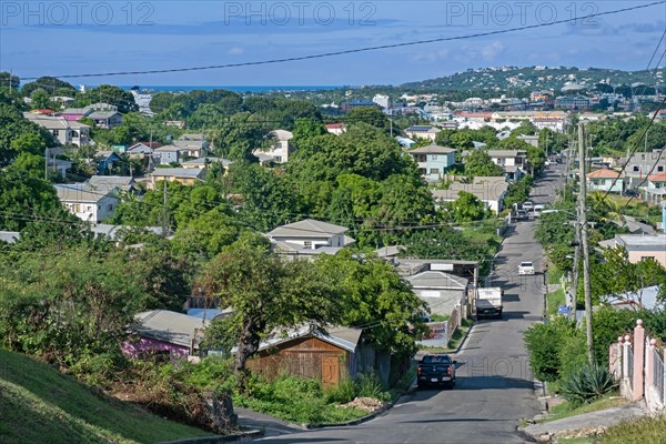 View over St. John's