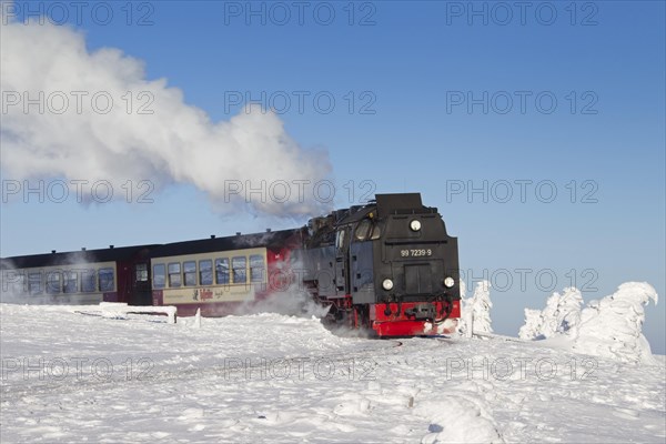 Steam train riding the Brocken Narrow Gauge railway line in the snow in winter at the Harz National park