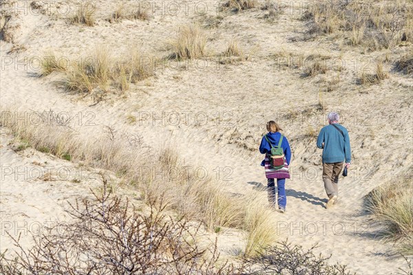 Two walkers walking in the sand dunes of the nature reserve De Westhoek