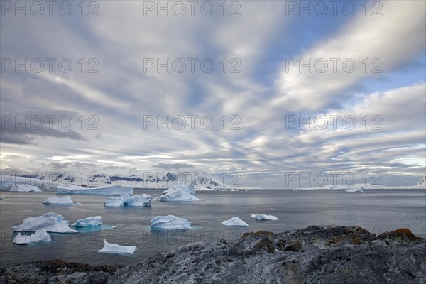 Icebergs around Cuverville Island