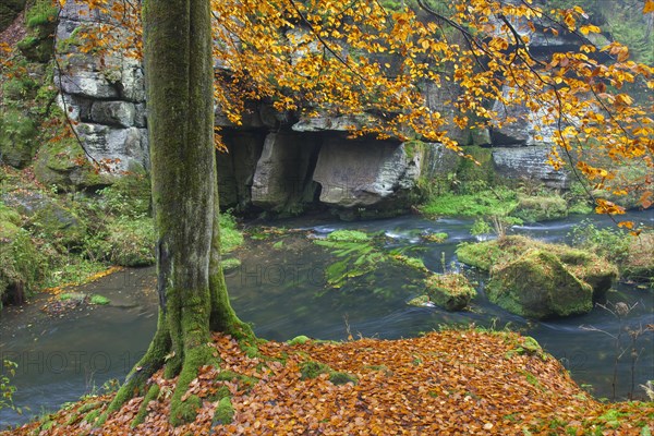 Kamnitz Gorge