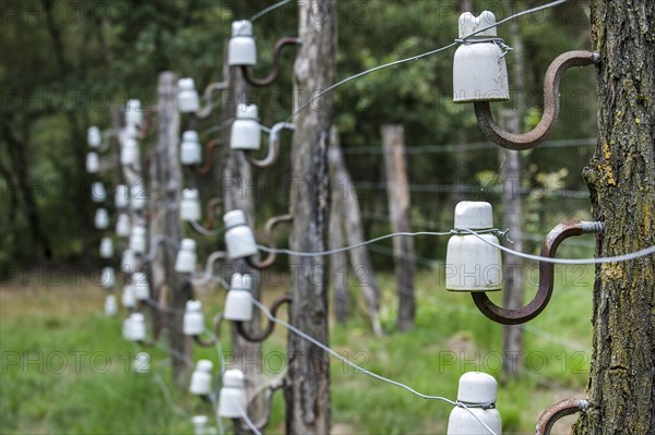 Porcelain pin insulators and Wire of Death