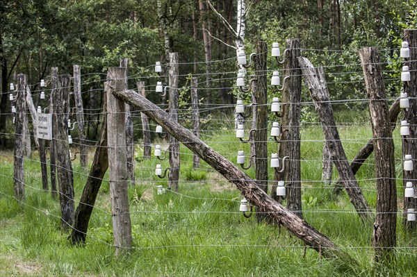 Porcelain pin insulators and Wire of Death