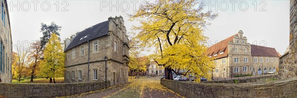 Autumn panorama court lime tree in front of Stadthagen Castle Germany