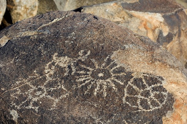 Rock art at Signal Hill in the Tucson Mountains