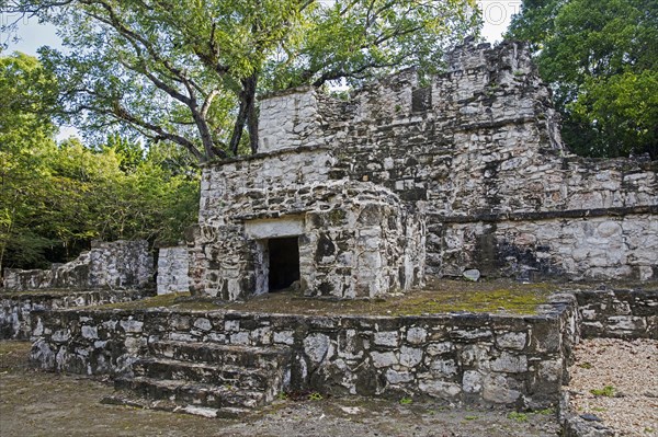 Ancient Maya ruins at Muyil