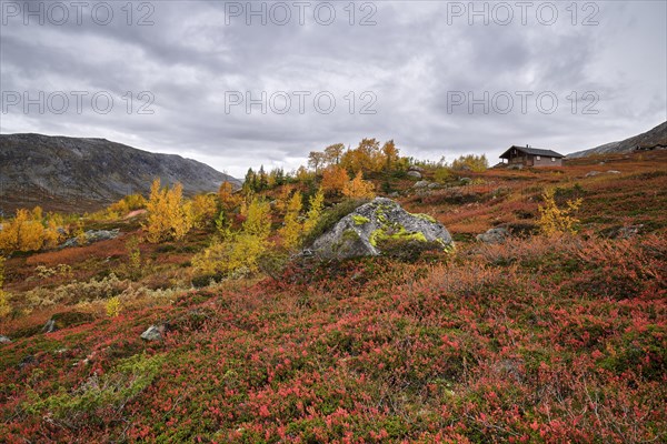 Cabin with autumn leaves