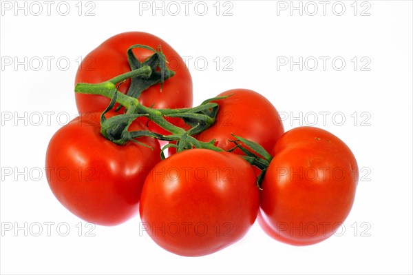 Bunch of vine tomatoes