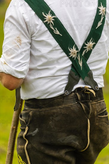 Alpine herdsman on the meadow