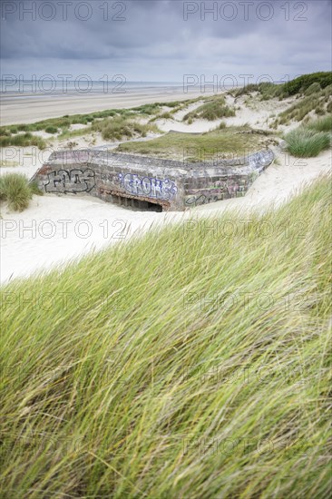 Destroyed bunkers in the dunes of Dunkirk