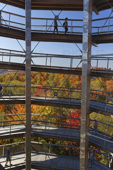 Tree top pad