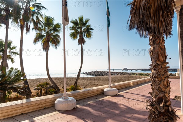 Palm trees on the Playa de San Miguel in the city of Almeria