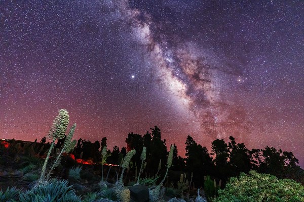 One of the best Milky Ways in the world in the Caldera de Taburiente near Roque de los Muchahos on the island of La Palma