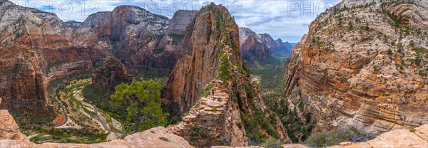 Panoramic of the Zion Canyon seen from the Angels Landing Trail high up in the mountain in Zion National Park