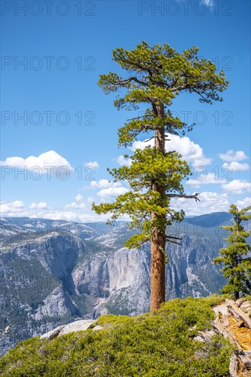 Upper Yosemite Fall from Sentinel Dome