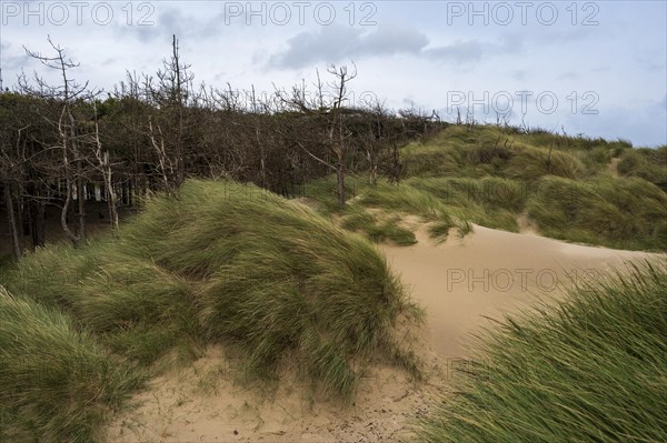 Traeth Llanddwyn Beach