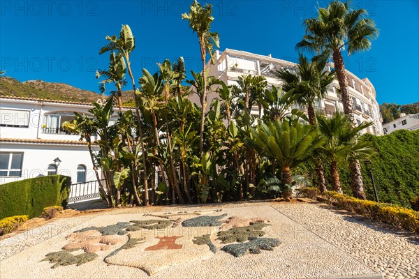 White houses and palm trees in the municipality of Mijas in Malaga. Andalusia