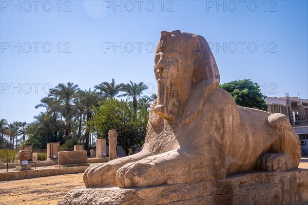 Detail of the precious Sphinx of Memphis in Cairo