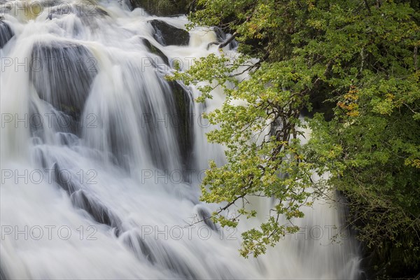 Swallow Falls