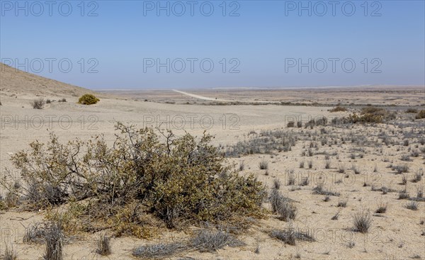 Landscape at Bird Feather Mountain